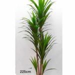 Artificial plant dracaena full green long leaf