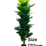 Artificial dracaena fragrans plant 170cm.