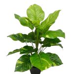 Artificial money plant 50cm.