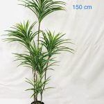 Artificial spider plant white green 6 sticks