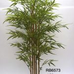 Bamboo tree natural trunk