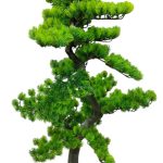 Artificial plant bonsai