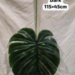 Monster single leaf