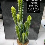 Artificial cactus plant