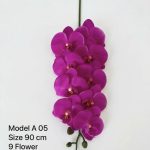 Orchid flower real touch