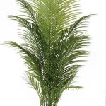 Artificial palm tree real touch